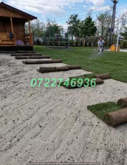 Gazon Verde Natural pentru Curți și Grădini Elegante