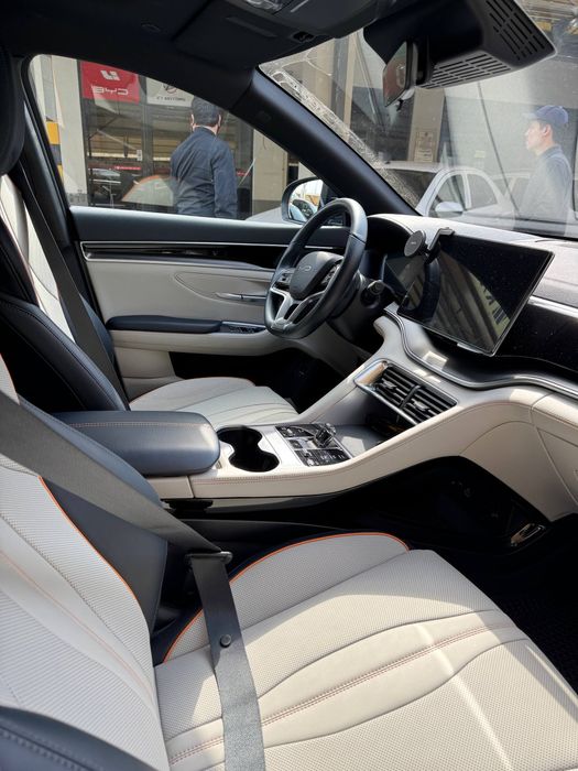 Byd chempion gibrid 2025 probegli