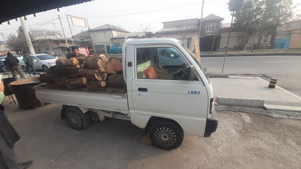 Utin sotiladi. Утин сотилади.лабода