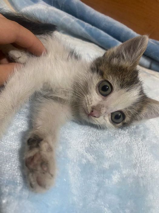 Ваше маленькое счастье