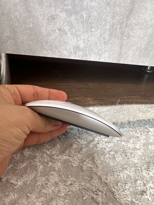 Apple Magic Mouse (tupe-c)