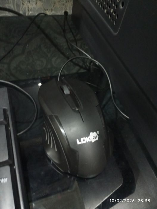 Kamputir va manitori