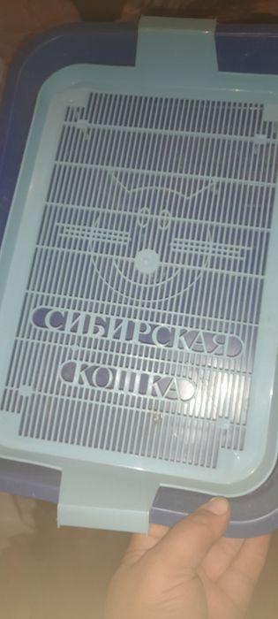 лоток для кошки. большой