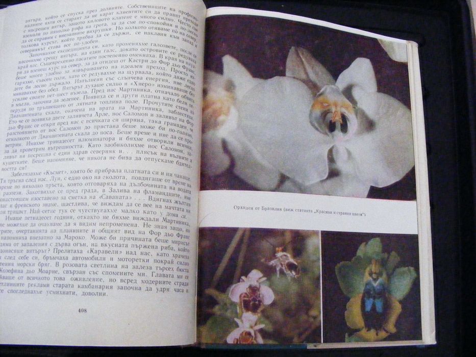 Стари списания:Градината,Космос, Спектър, Мурзилка и др.