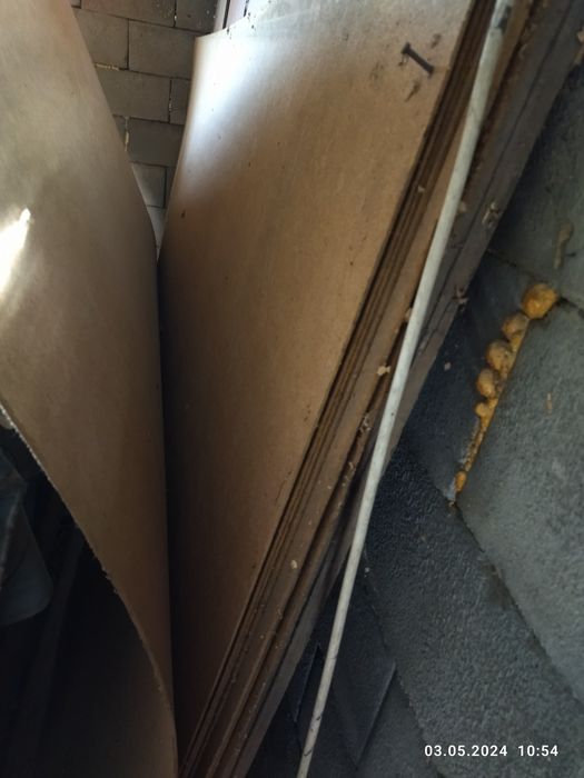 Крагиус новые листы