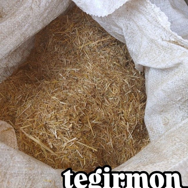 Somon tegirmon mayda Somon