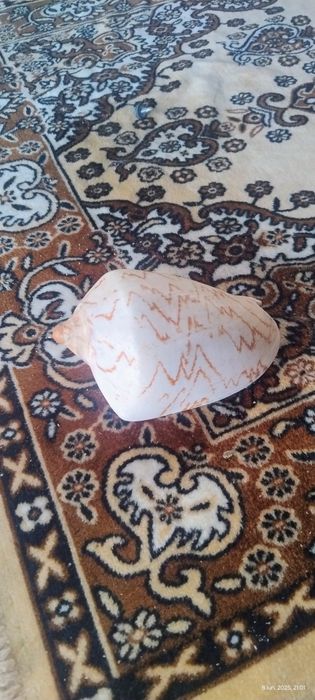 De vânzare  bibelouri vechi