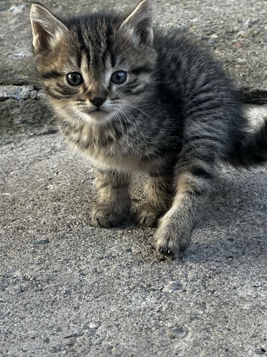 Только в любящие руки