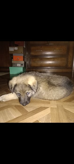 Мальчик красавчик