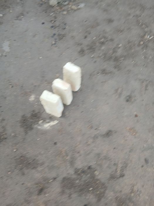 Pishgan gisht sotiladi