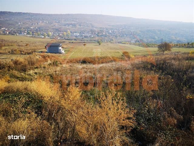 De vanzare urgent teren intravilan Cluj-Napoca 9.555m², str. Odobesti
