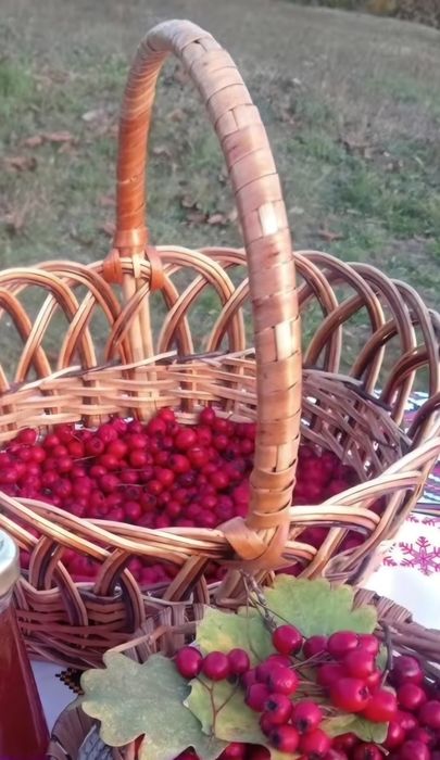 Păducel natural, fructe de păducel