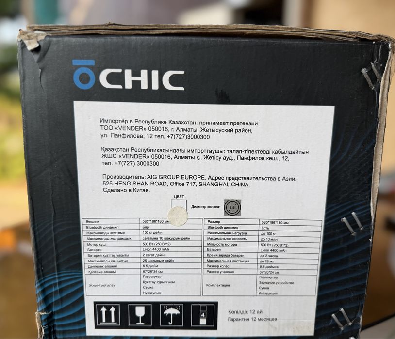Гироскутер OCHIC