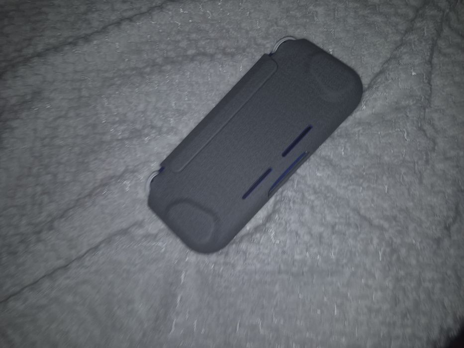 Nintendo switch lite с чип