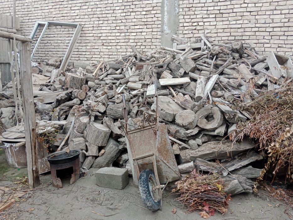 Oʻtin sotila                                .