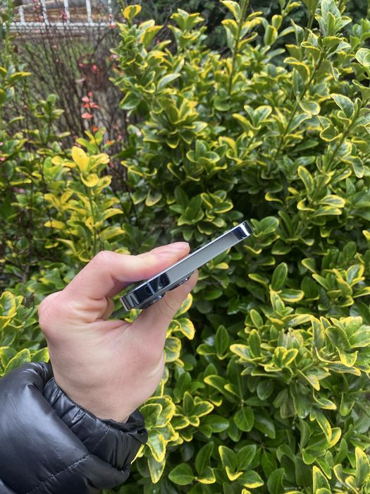 iPhone 13 pro max 256gb impecabil