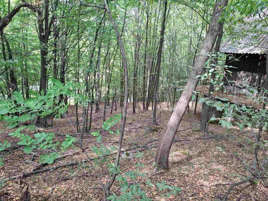 Продава се Парцел в София, Слатина - 600 кв.м за 38 €/кв.м - Снимка #10