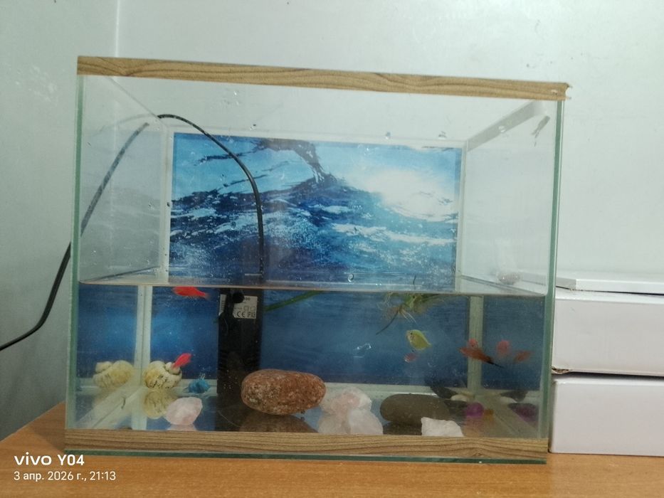 Продам аквариум 50 литр