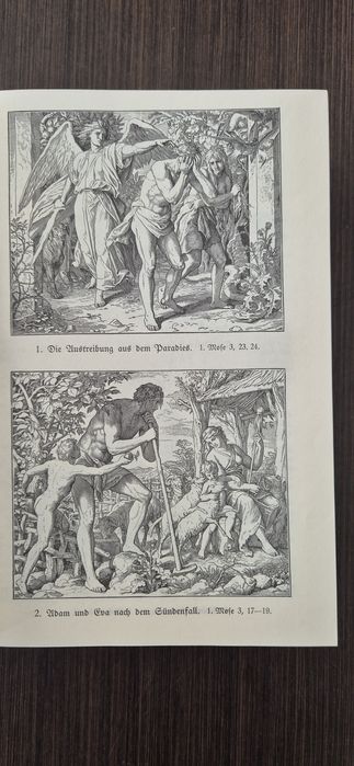 Biblia cu poze Die Heilige Schrift de Martin Luther King editia 1913