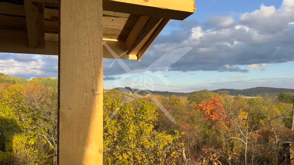 Продава се Къща в с. Желява, Област София-град - 50 кв.м за 801 €/кв.м - Снимка #3