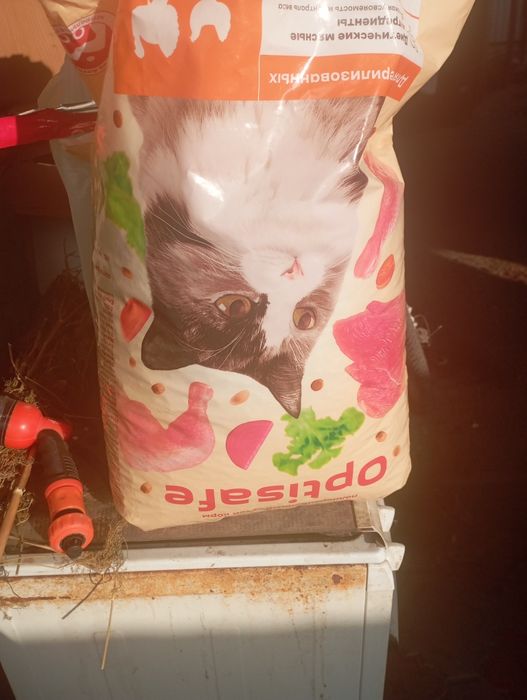 Корм кошачий, корм собачий