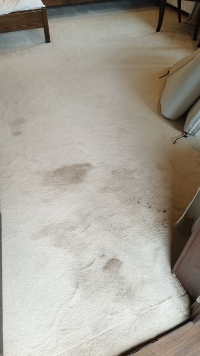 Машинно пране на дивани, килими, матраци!