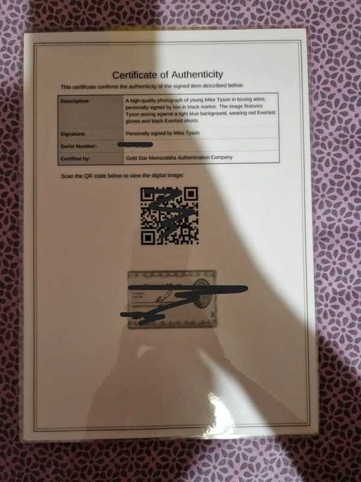 Mike Tyson Signed memorabilia semnat autograf tablou Iron Mike Tyson