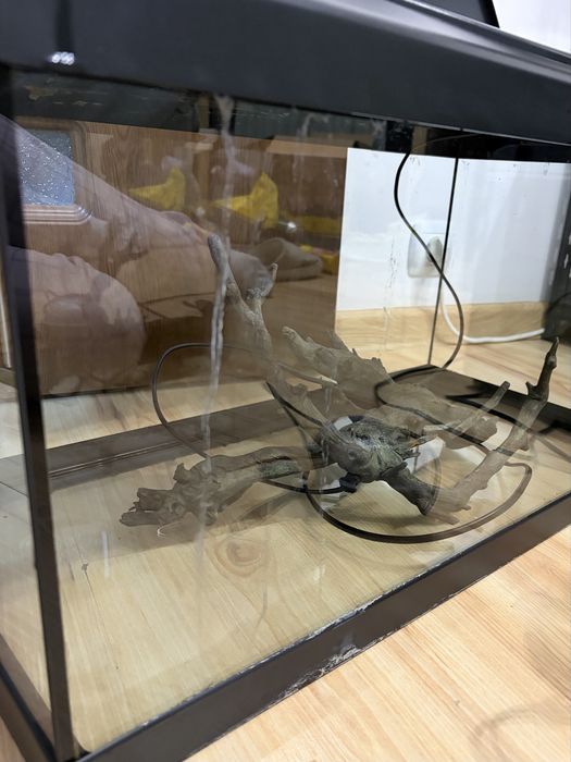 Acvariu diversa 54 l