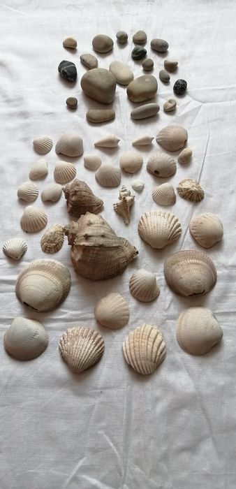 Продам для аквариума