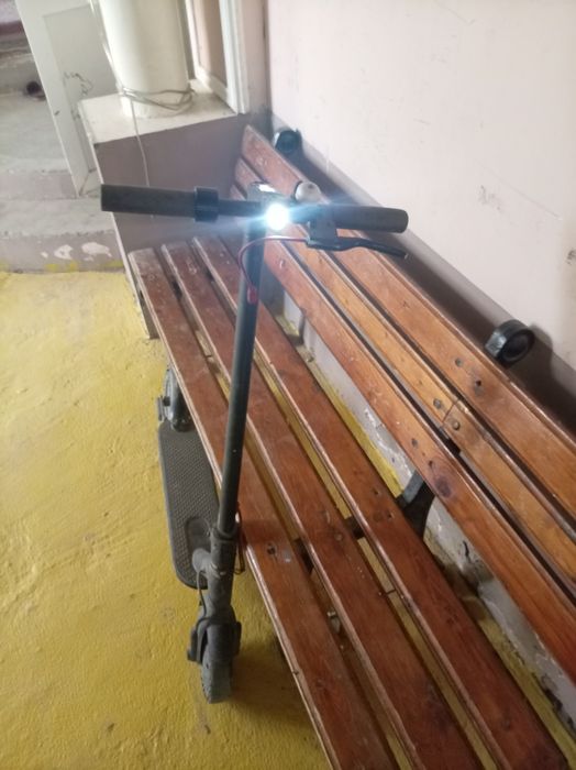 Elektra samakat bu