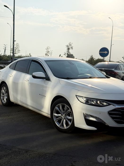 Malibu Premier малибу