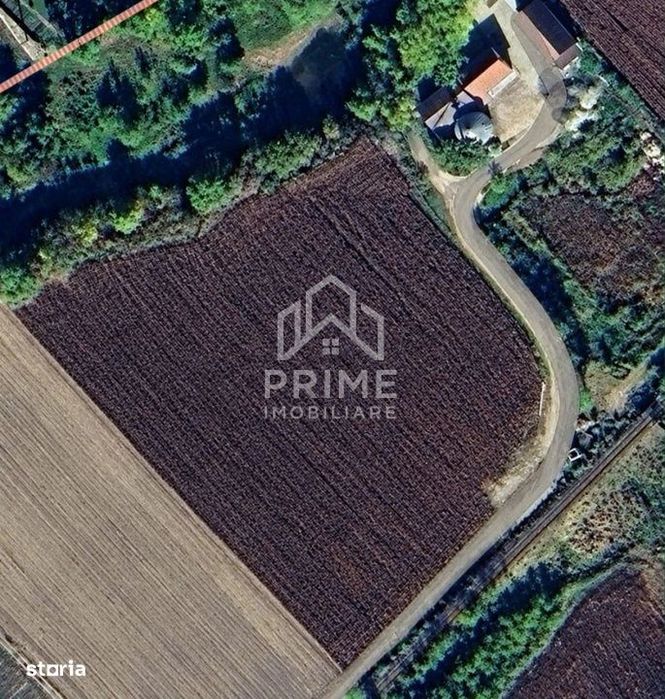 Teren Extravilan | 10.000 MP | La asfalt | Zona Blaj
