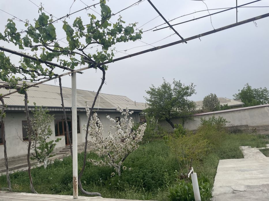 ХОВЛИ УЙ  14 СОТИК СОТИЛАДИ Фаргонада. Иккита ойлага можалланган