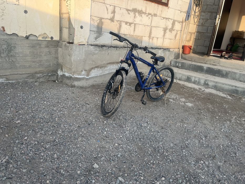 велик в хорошем состаянияе