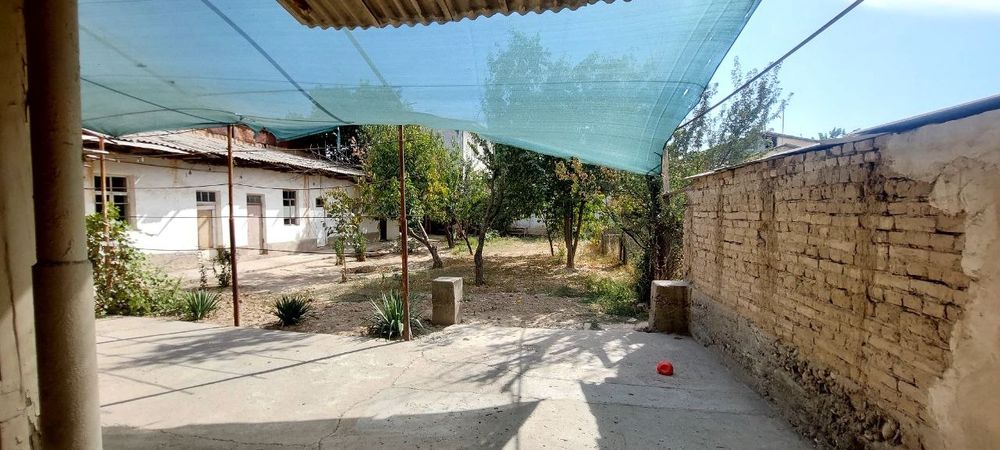 Прадайоса 12 сотик