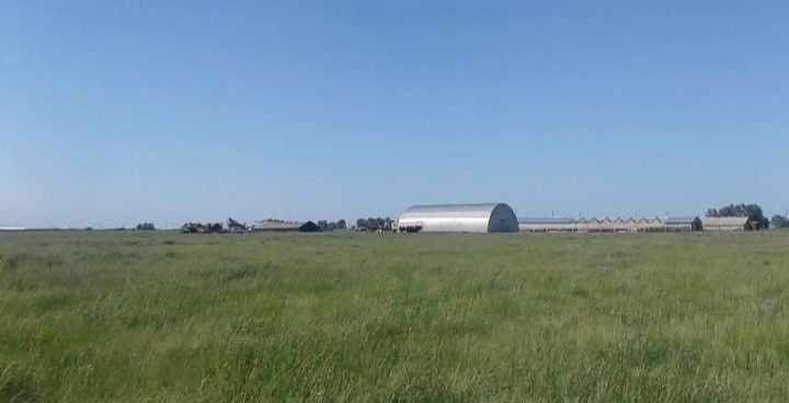 Ферма, Фазенда, Откорм площадка