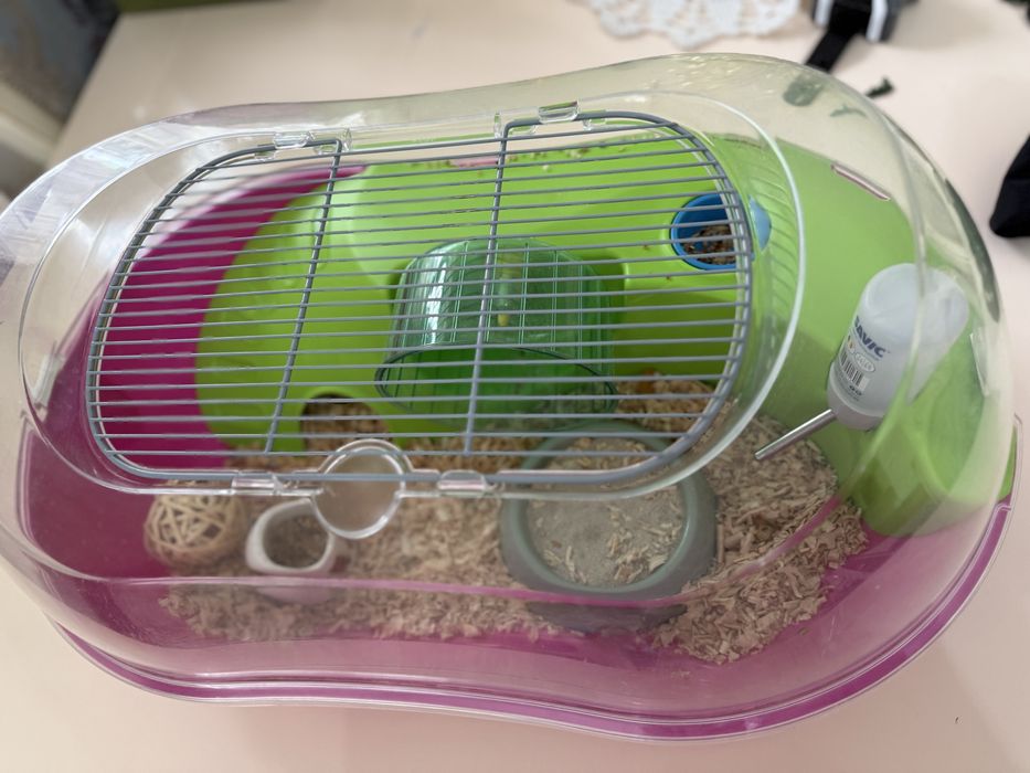 Хомяк с крутым жильем