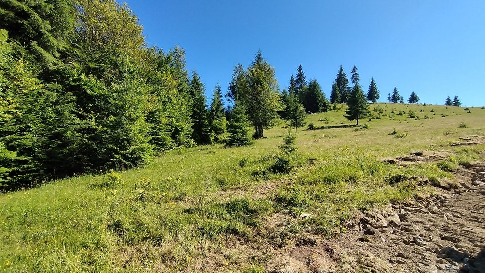 Teren Tihuța / Piatra Fântânele jud BN 1.400 Euro/ar