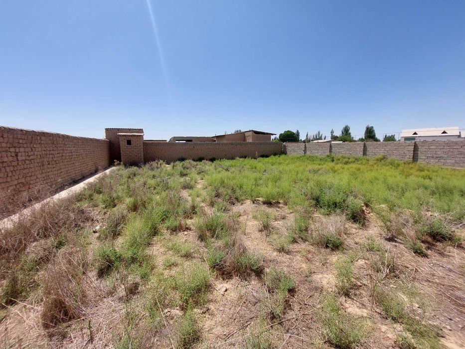 6 сотихли ер,курилган сотилади!!! Янги Шойхужа!