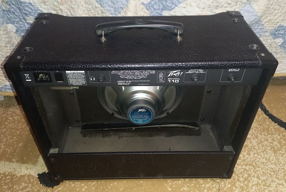 Peavey Envoy 110