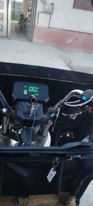 Drongo electron muravey