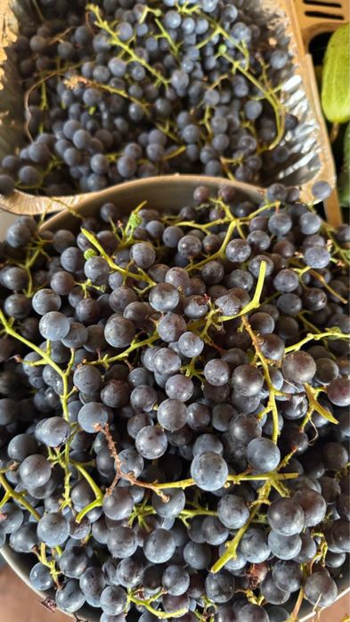 Продам двухэтажный дом (дача)