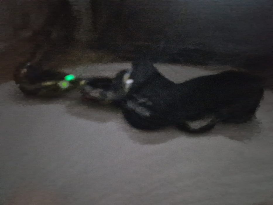Vând hoverbord nou