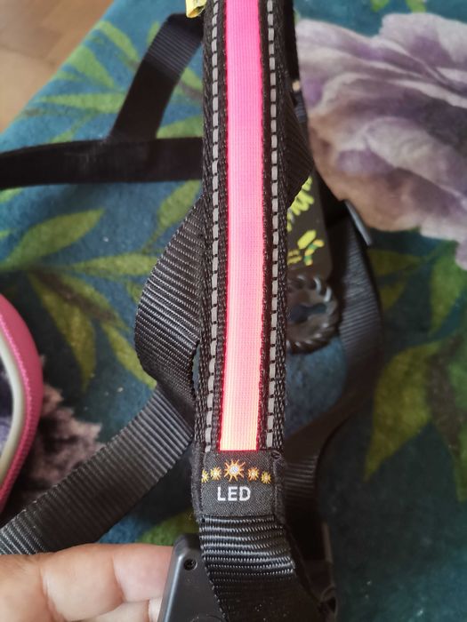 Нагръдник и каишка нови