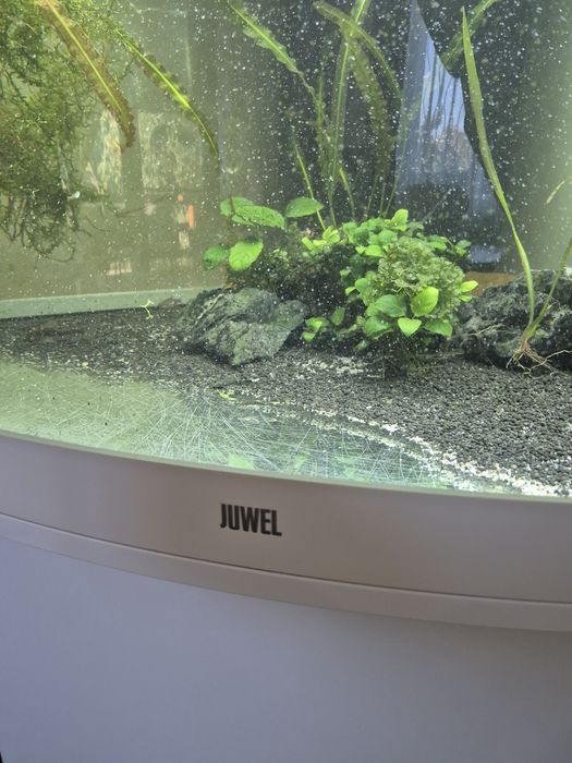 Acvariu pesti exotici juwel trigon led 350 litri