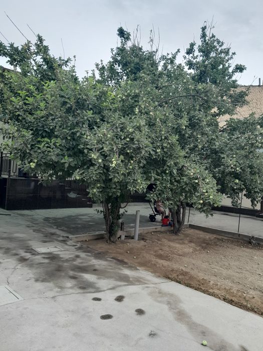 Fozilov mehnat 2.5sotih