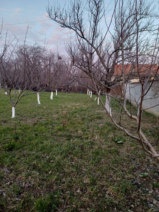 Teren intravilan de vânzare