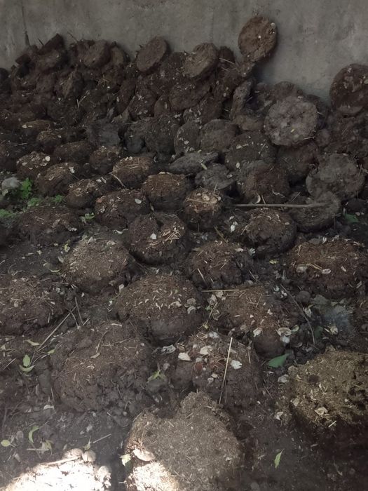 Тезек сатылады құйылған