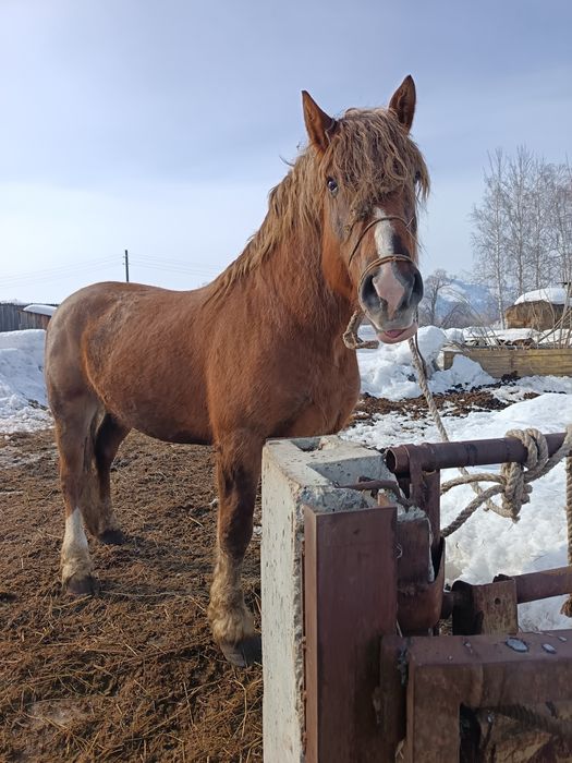 Советский тяжеловоз