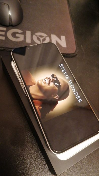 IPhone 13 Pro Max 256GB